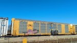 CSX B11838 (Body) TTGX 695454 (Flat)